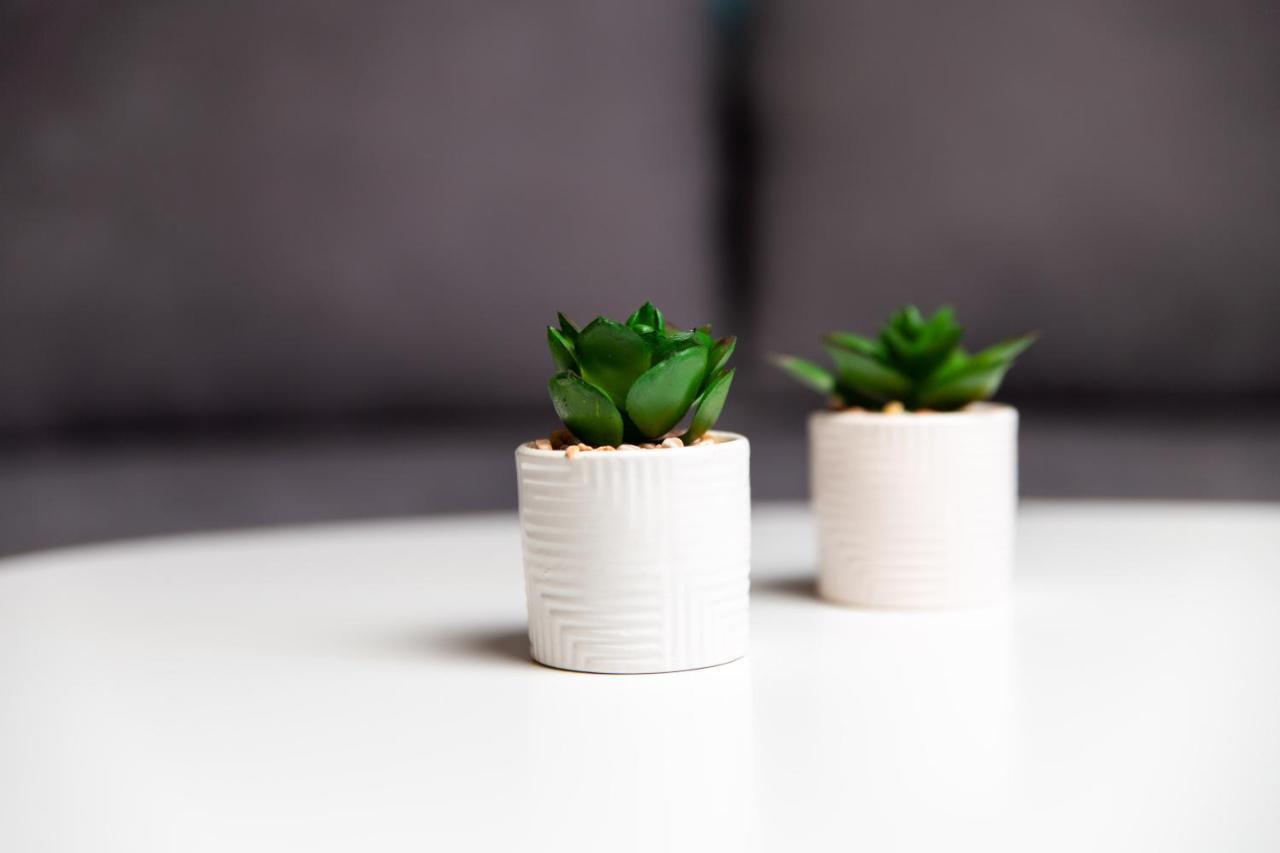 Zen 6